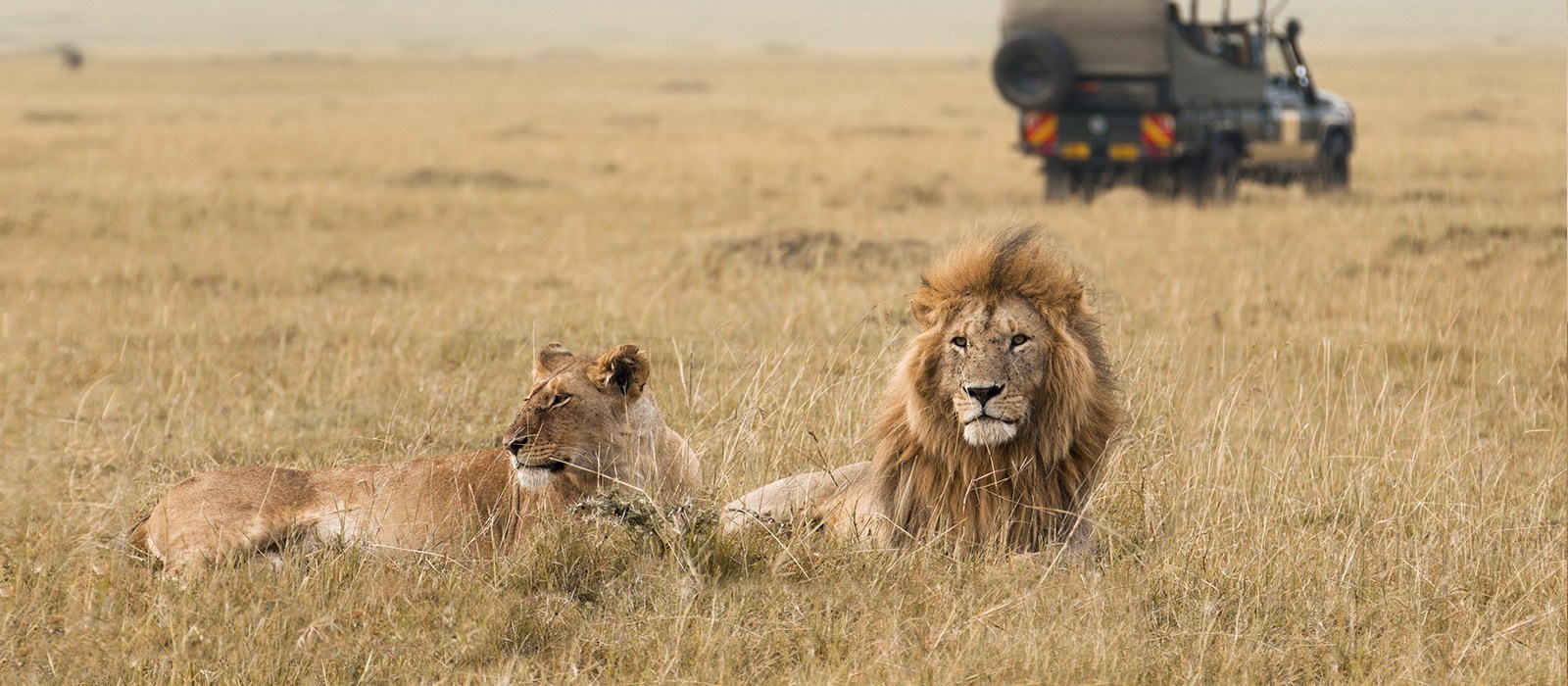 5-Day Fly-In Tanzania Safari